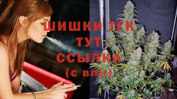 прущий лед Армянск