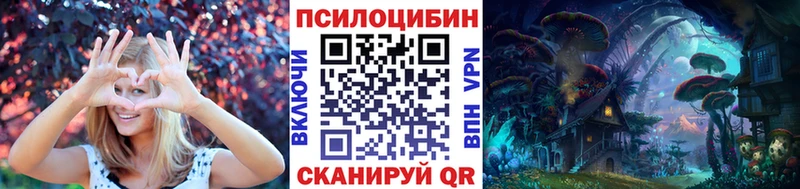 Купить где  Ишим  Псилоцибиновые грибы GOLDEN TEACHER 